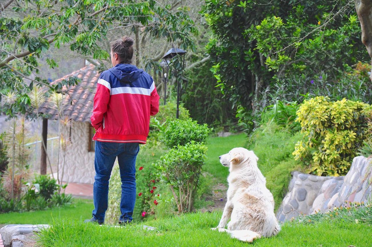 Hosteria Cananvalle Ibarra Dış mekan fotoğraf