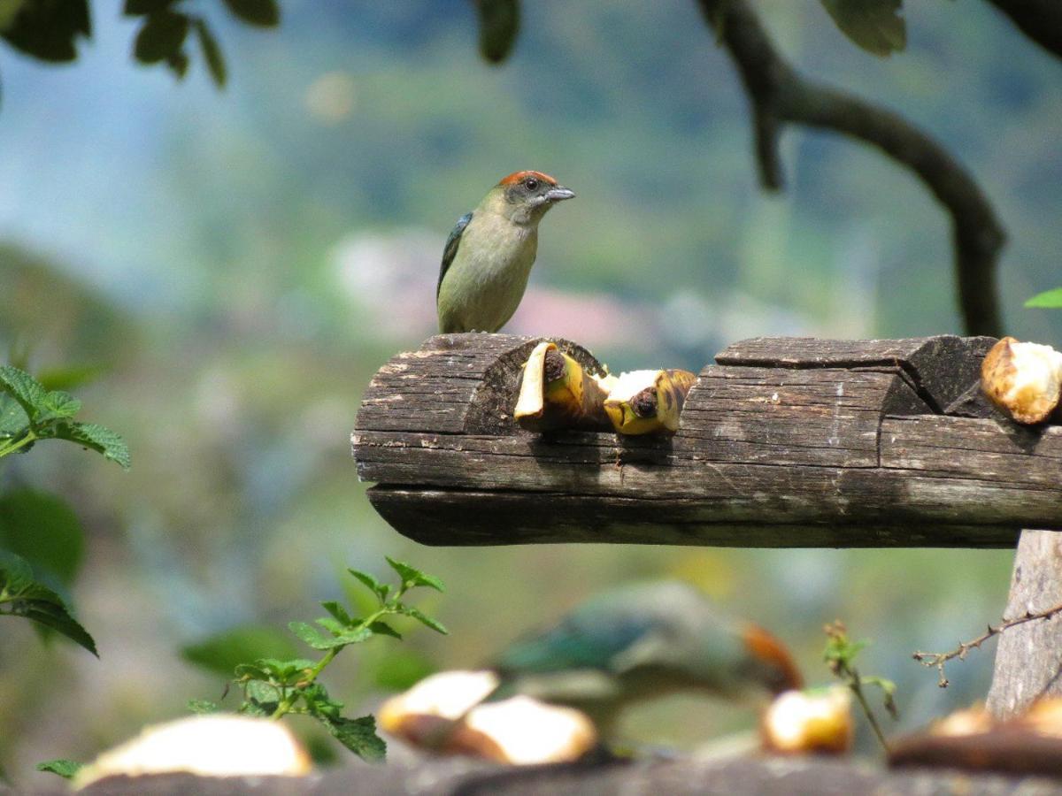 Hosteria Cananvalle Ibarra Dış mekan fotoğraf