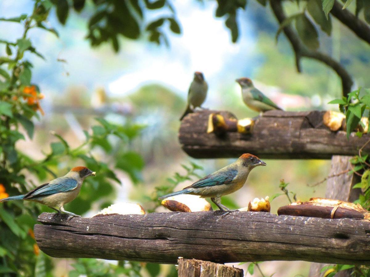 Hosteria Cananvalle Ibarra Dış mekan fotoğraf