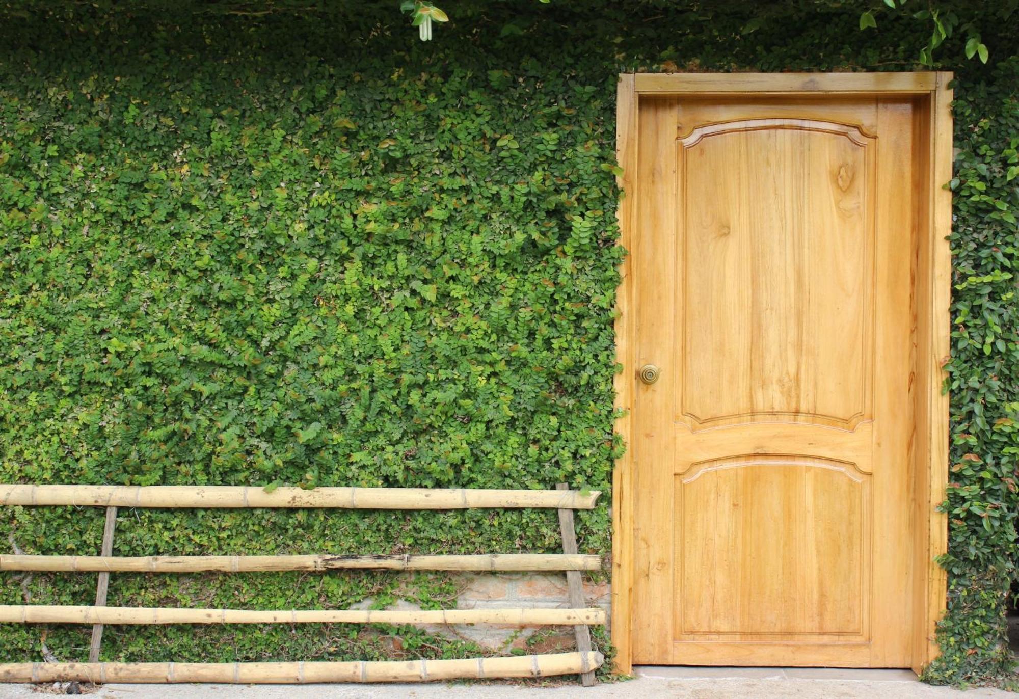 Hosteria Cananvalle Ibarra Dış mekan fotoğraf