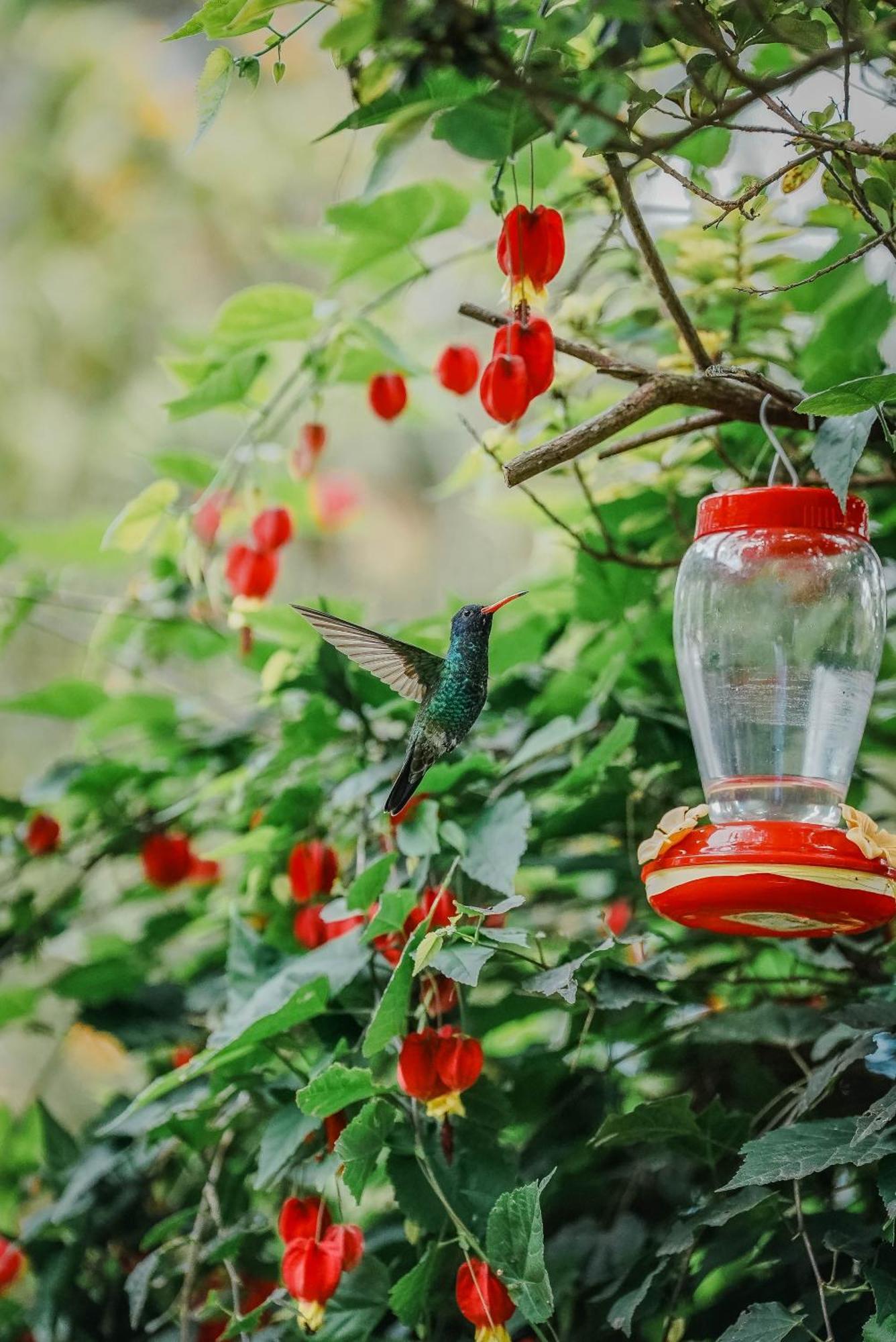 Hosteria Cananvalle Ibarra Dış mekan fotoğraf